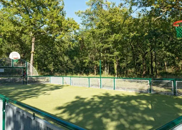 Mobil-home Cosy Avec Terrasse A - Api-1-52-317 * Royan