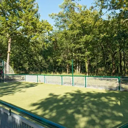 Mobil-home Cosy Avec Terrasse A - Api-1-52-317 * Ρουαγιάν