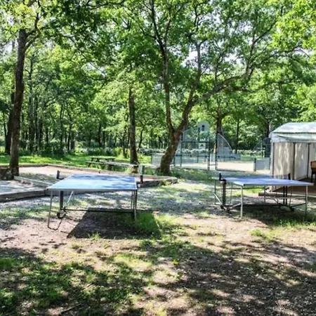 Κάμπινγκ Mobil-home Cosy Avec Terrasse A - Api-1-52-317 *